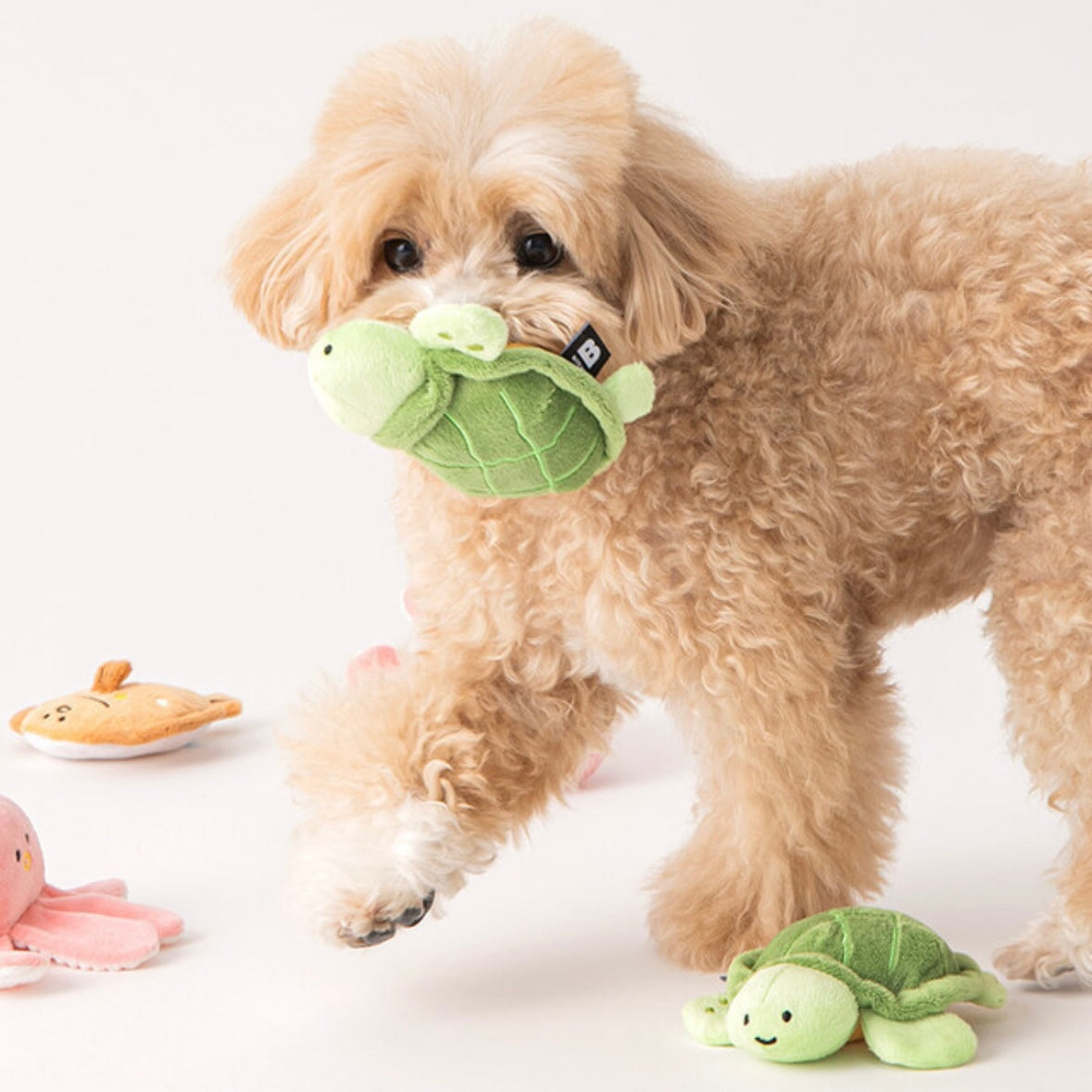 Starfish & Turtle Sea Friends Toy