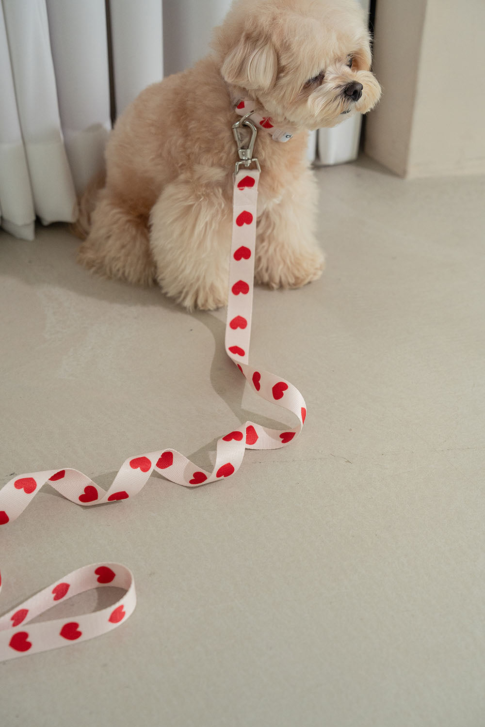 Heart Bong Bong Leash
