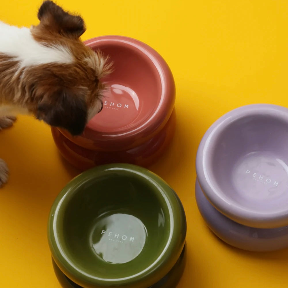 PEHOM Soufflé Pet Bowl