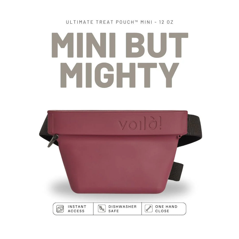 Voila Pets MINI Ultimate Treat Pouch