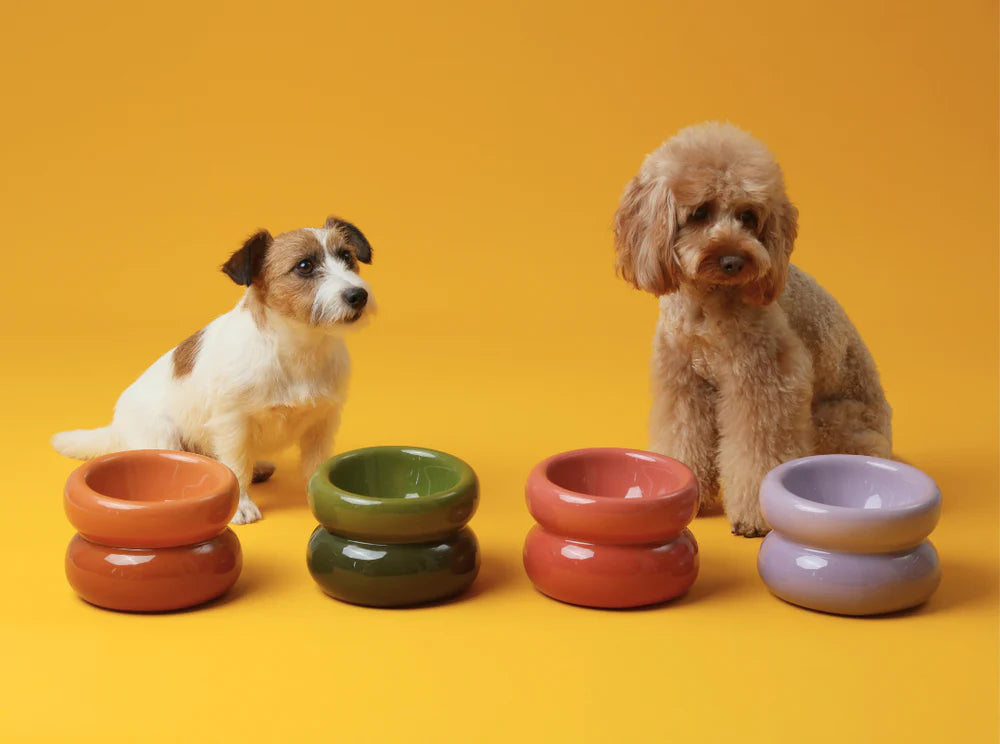 PEHOM Soufflé Pet Bowl