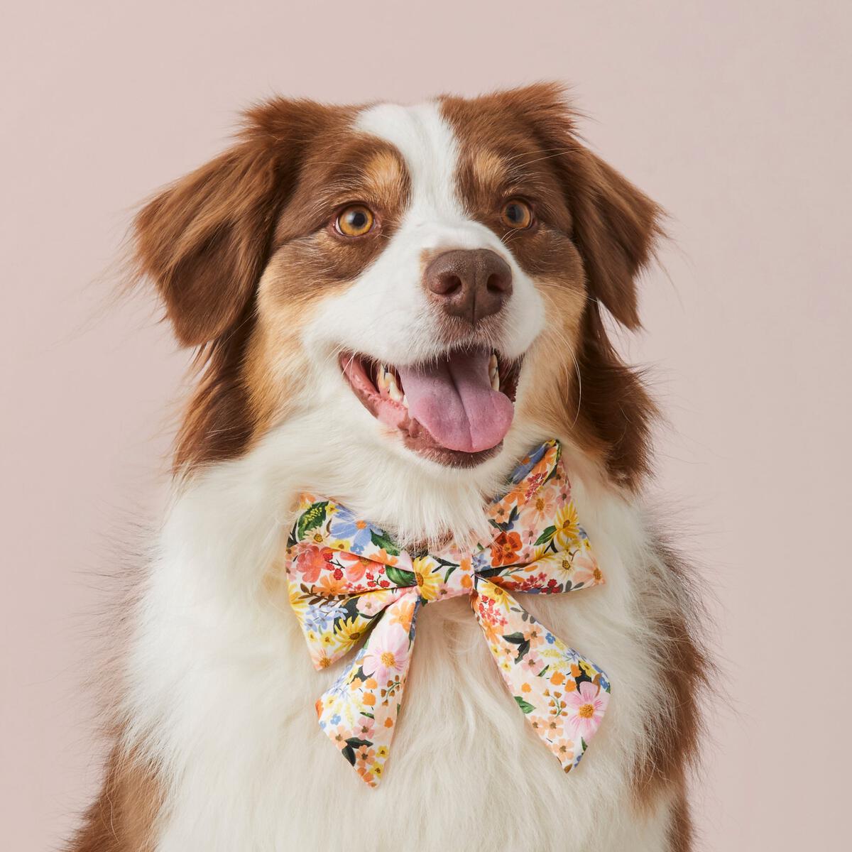 Marguerite Sailor Bow