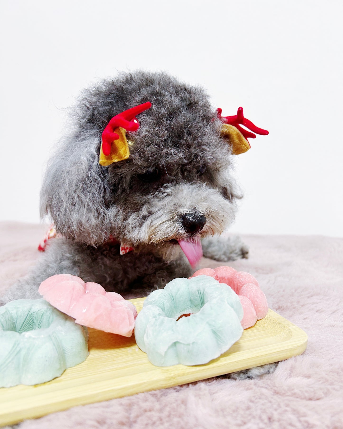 Christmas Pupsicles