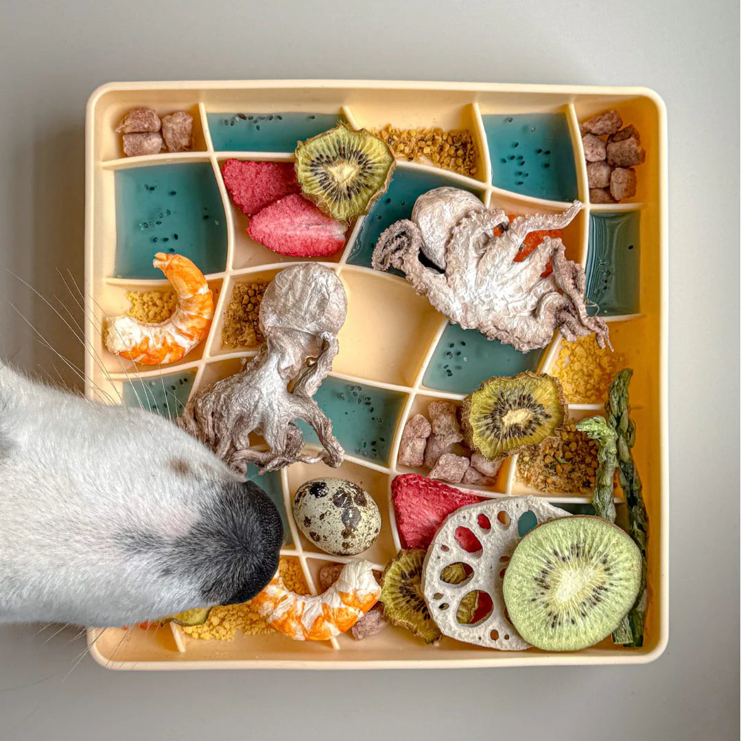 wavies slow feeder bowl | clementine