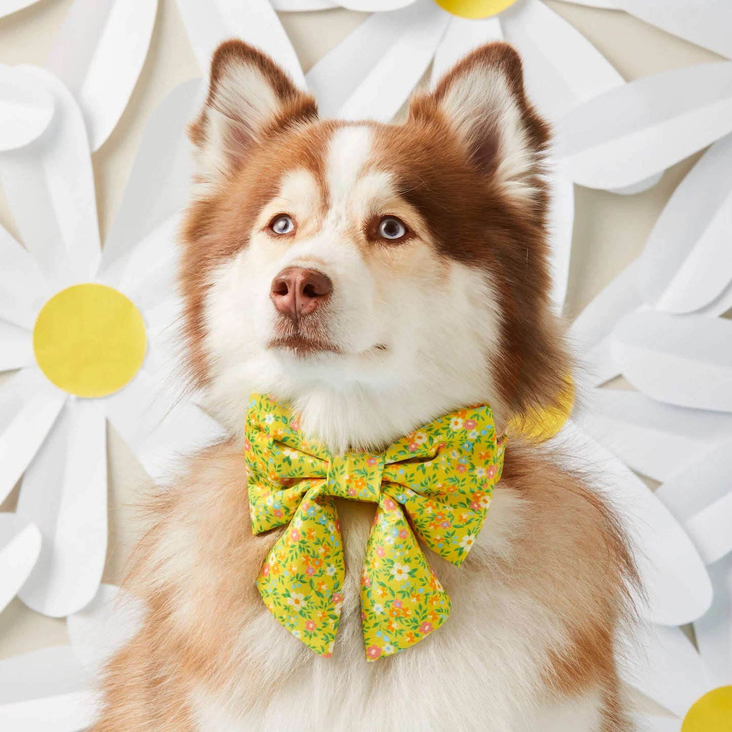 Sunny Meadow Sailor Bow