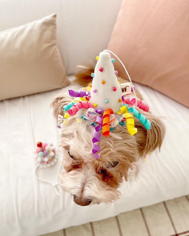 Party Hat