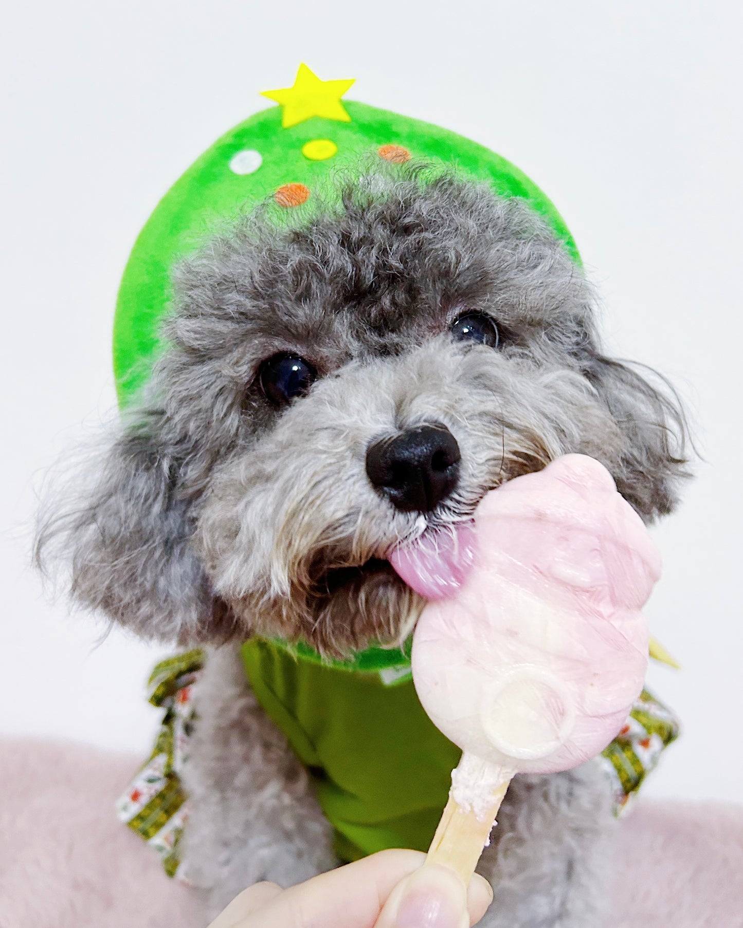Christmas Lollipups