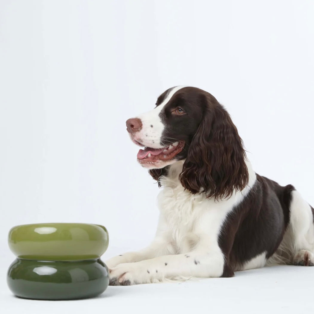 Soufflé Pet Bowl
