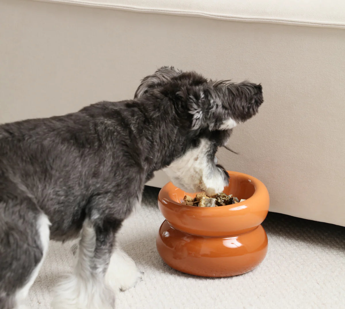 PEHOM Soufflé Pet Bowl