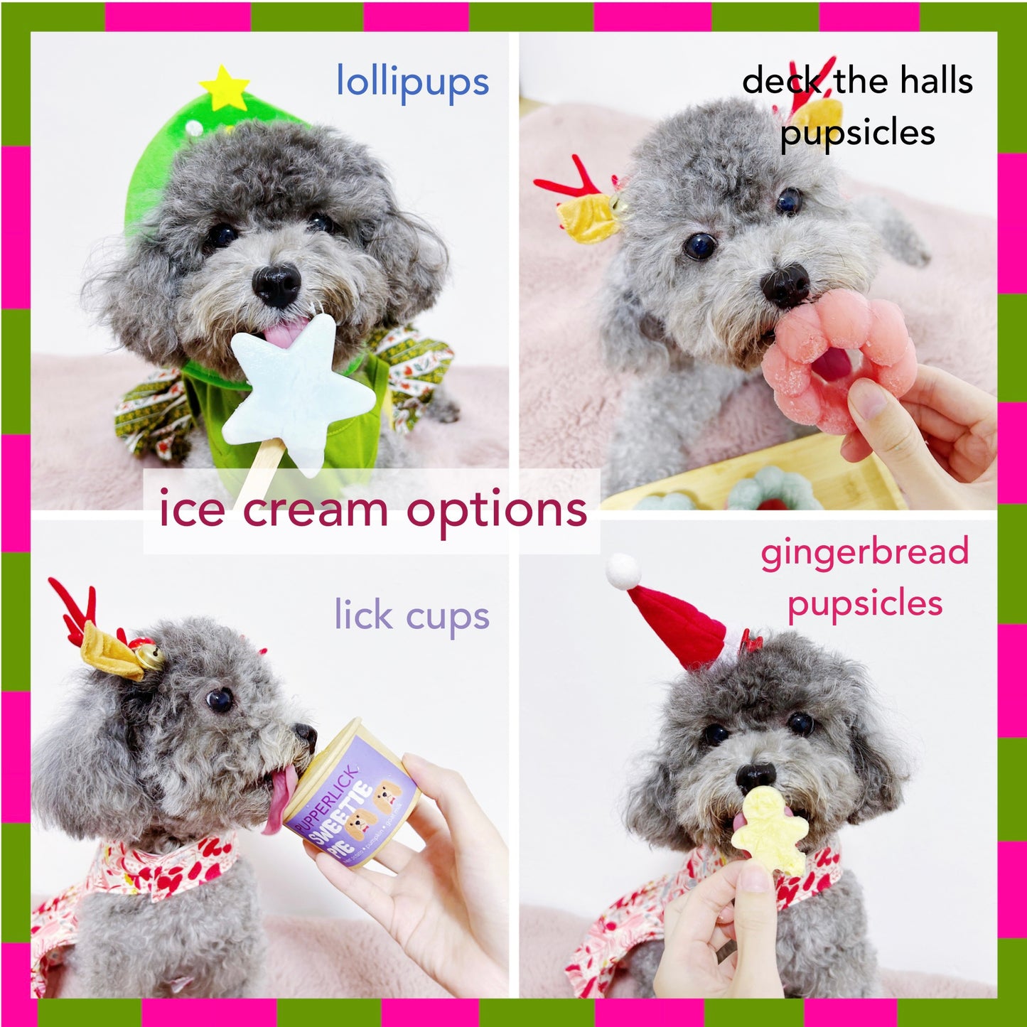 pupperFUN Bundle