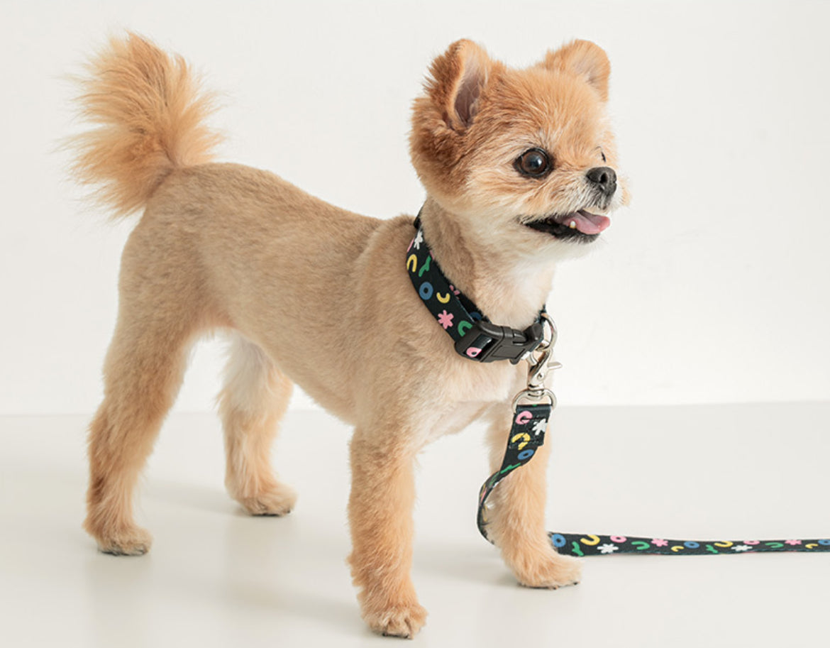 Black Popcorn Hands Free Leash