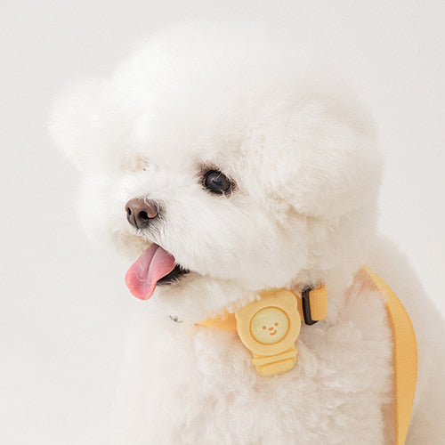 Hate Me Insect Repellent Band