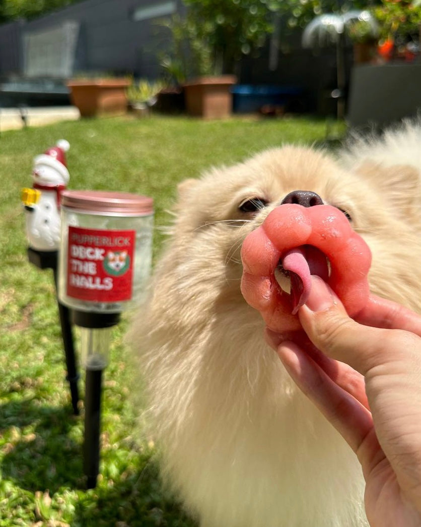 Christmas Pupsicles