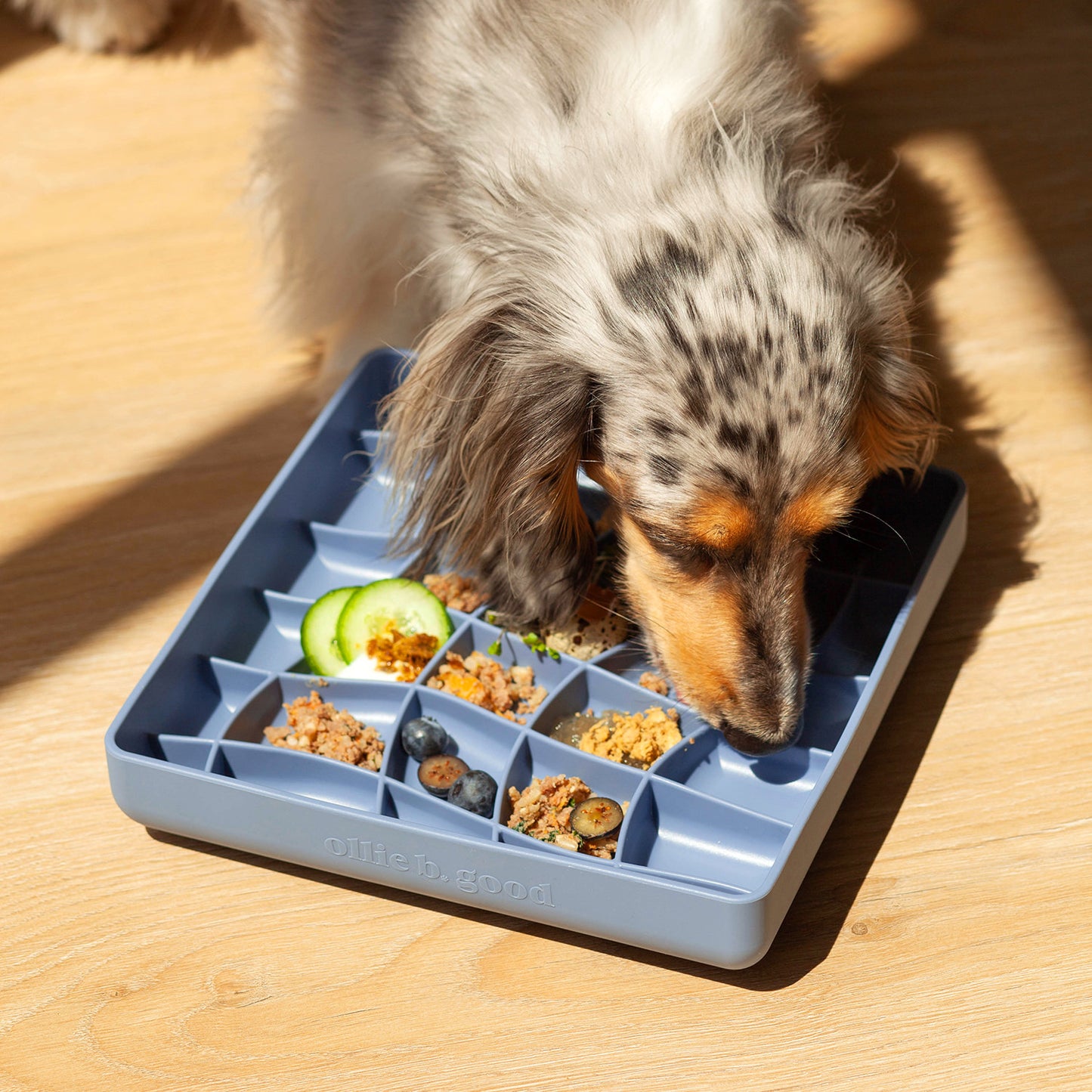 wavies slow feeder bowl | spirulina