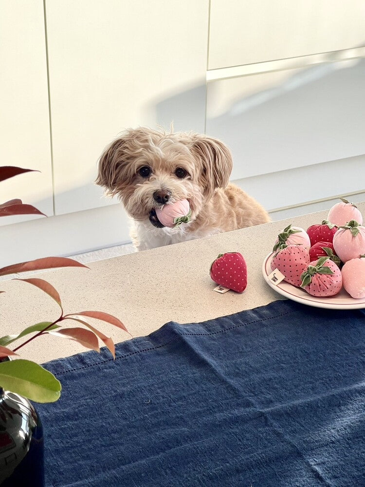 Strawberry Dog Toy (Set of 3)