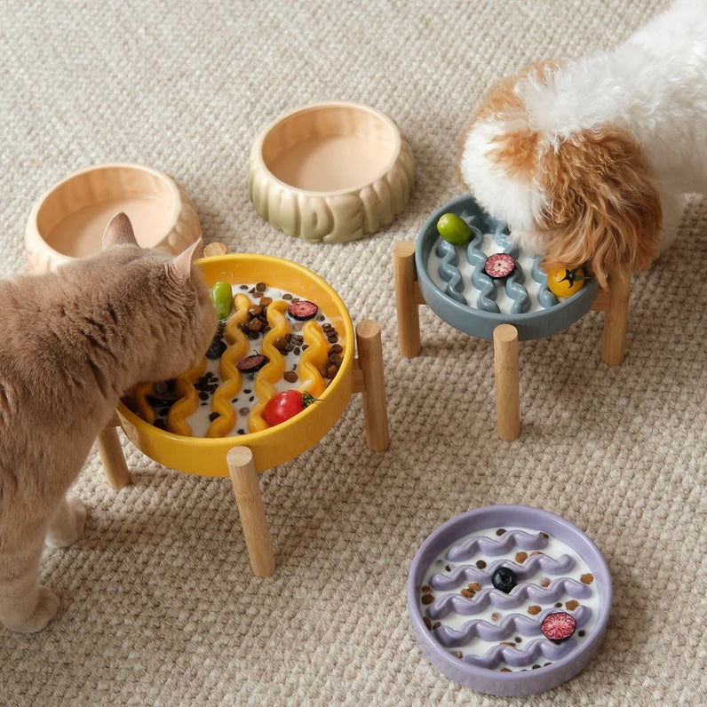 PEHOM Macaroni Slow Feeder Bowl