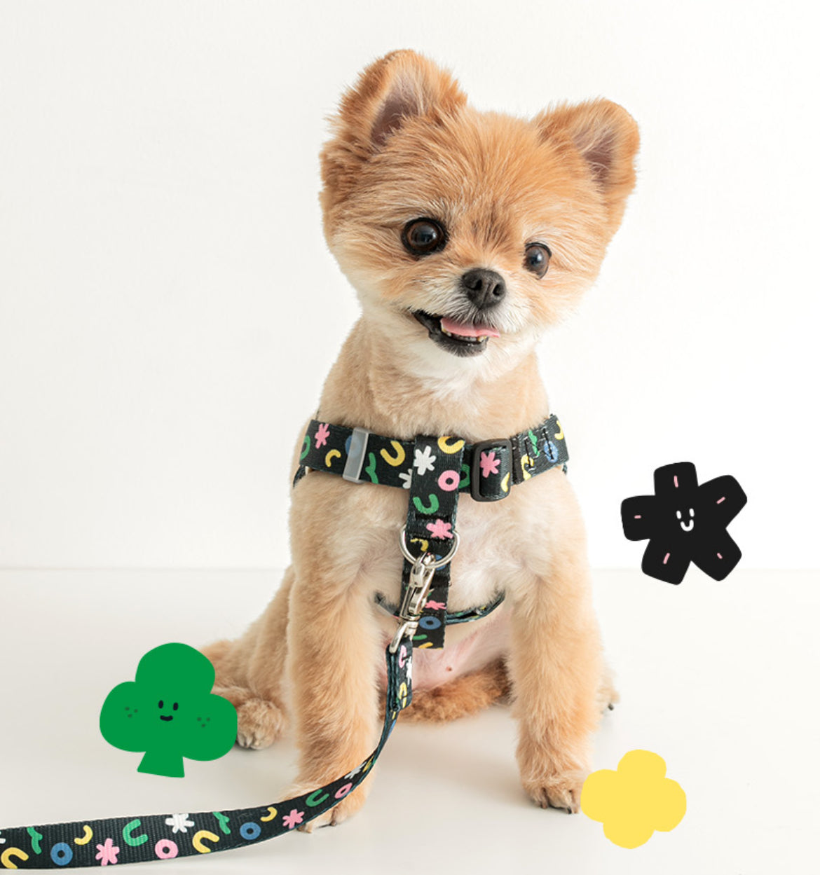 Black Popcorn Hands Free Leash