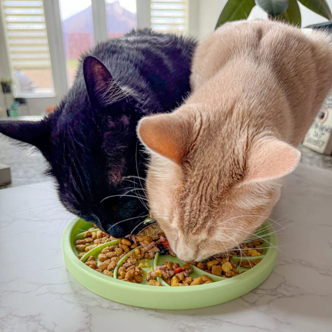 wheelies lick mat & lid | honeydew