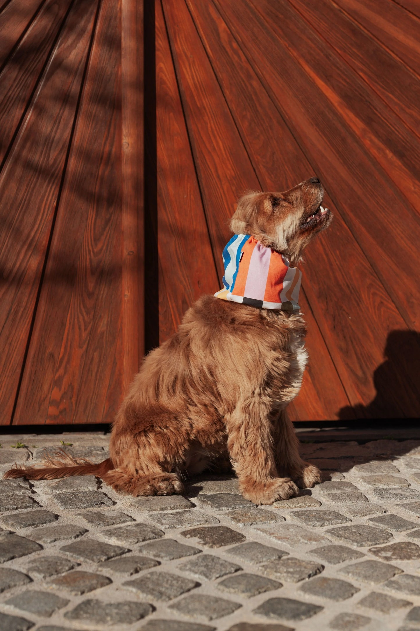 Stripes Snood
