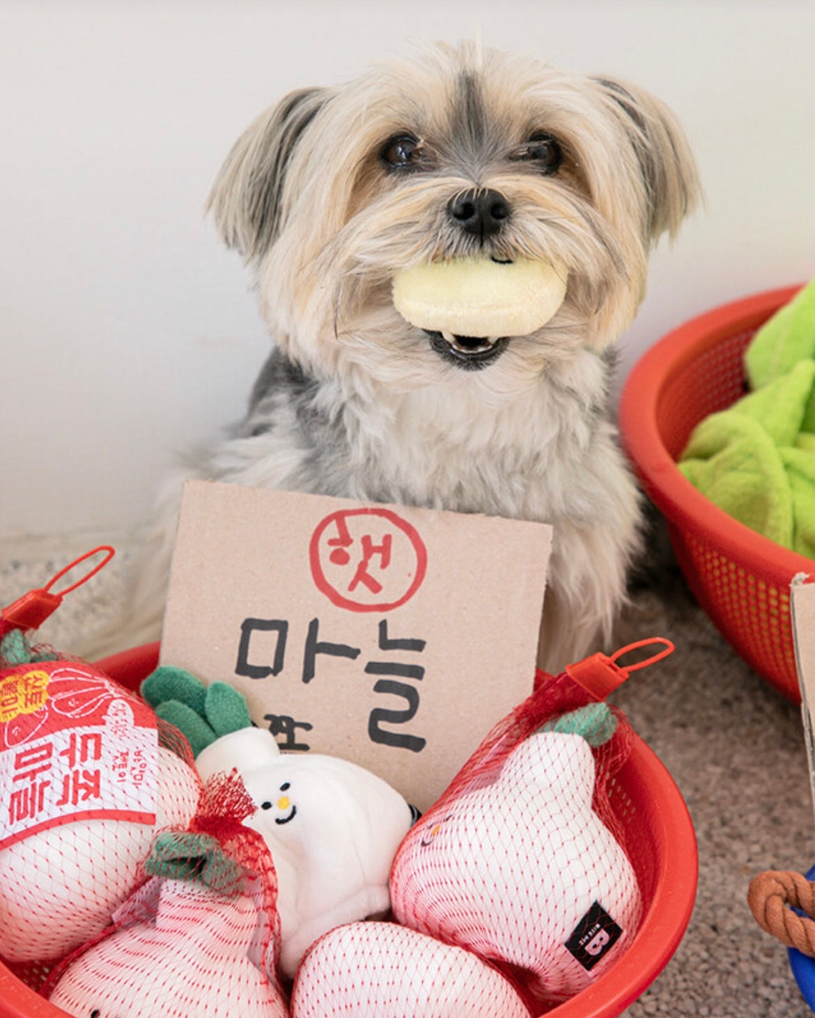 Garlic Nosework Toy