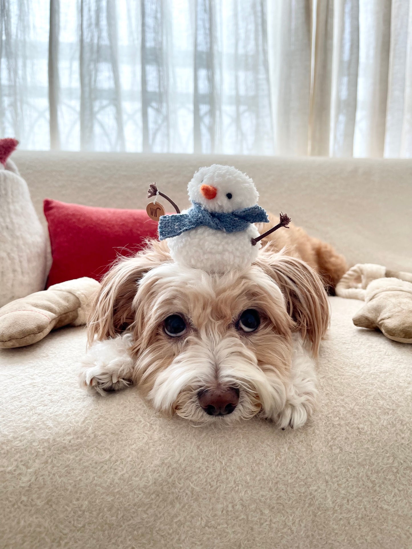 Snowman Hat