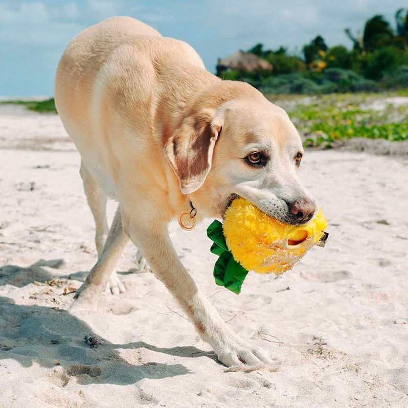 Paws Up Pineapple Squeaky Plush Toy