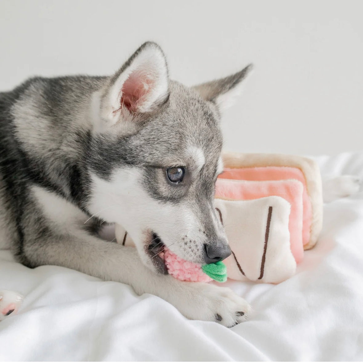 Strawberry Mille-Feuille Nosework Toy