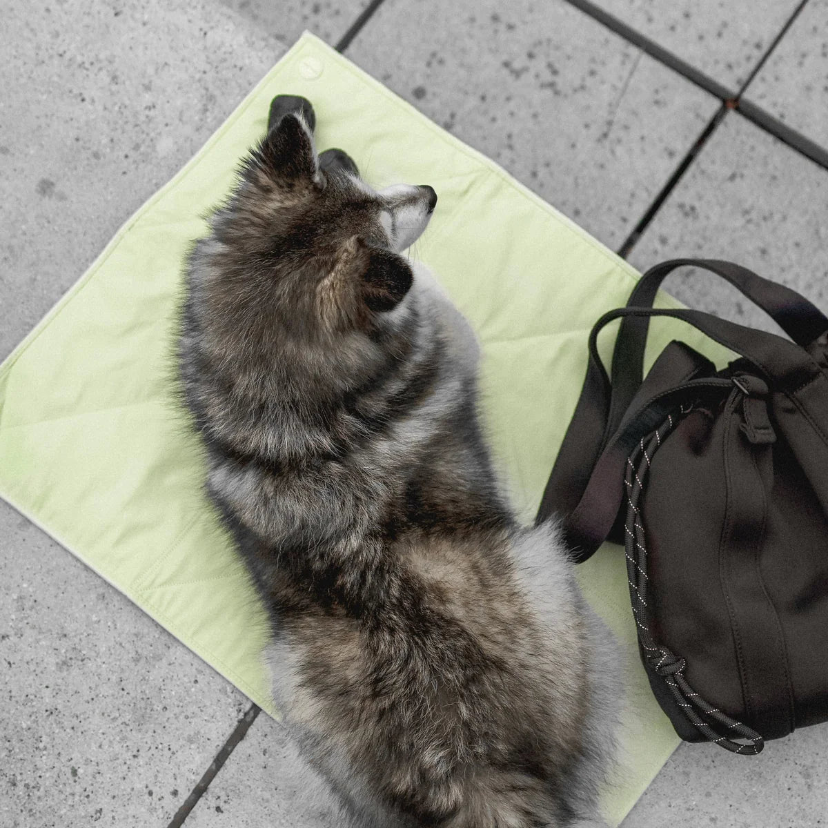 Jouir Travel Mat (Lemonade)