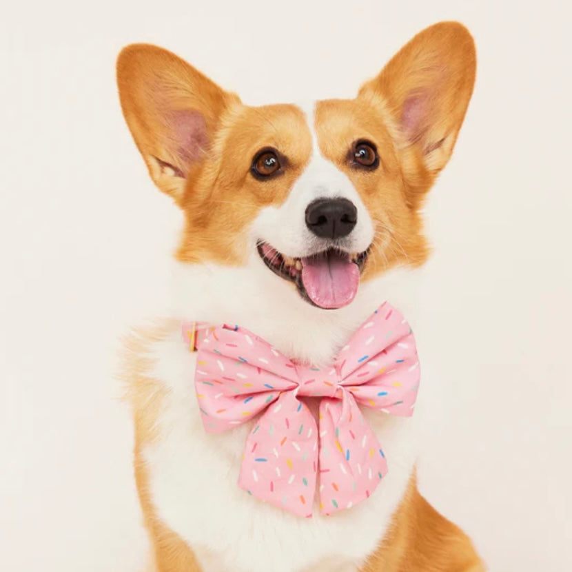 Sprinkles Sailor Bow