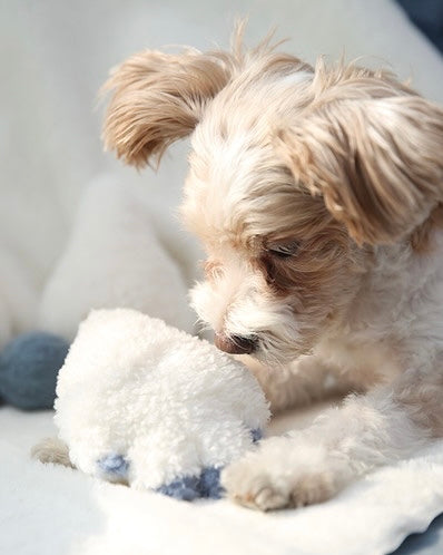 Mysterious Yeti Dog Toy