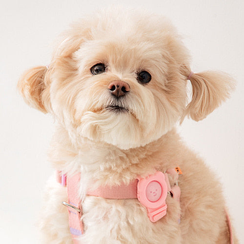 Hate Me Insect Repellent Band