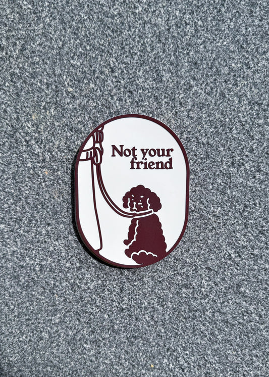 Not Your Friend Leash Patch