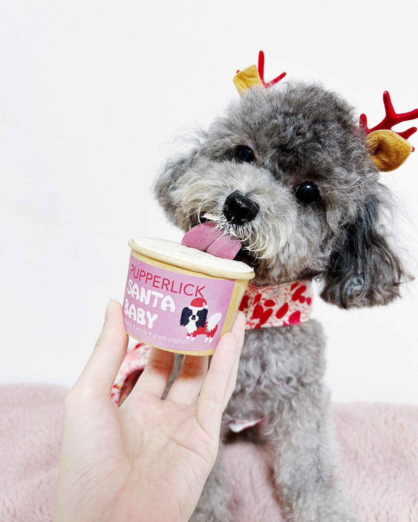 Christmas Lick Cups