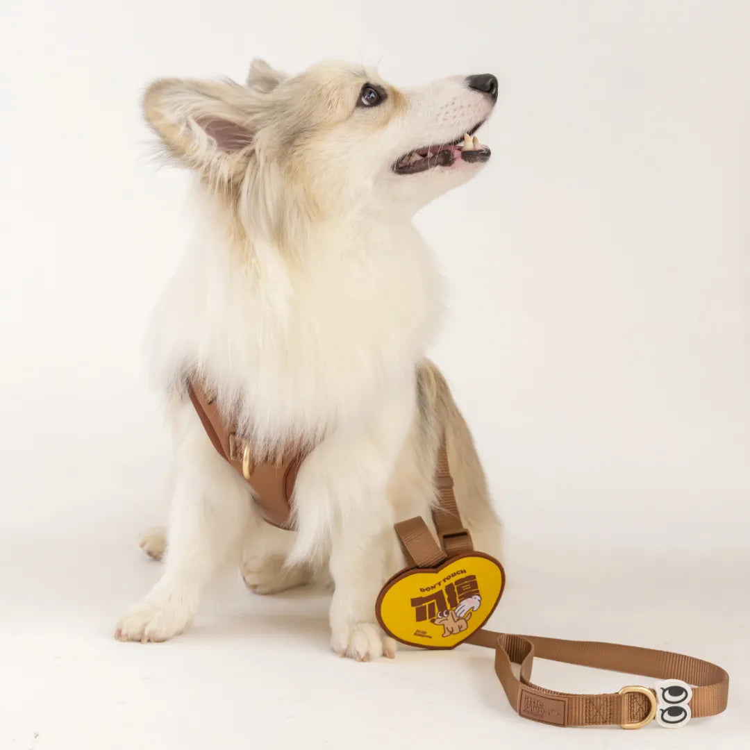 Don't Touch Message Patch (Dog)