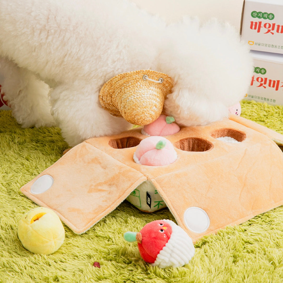 *NEW* Mixed Fruits Box Nosework Toy