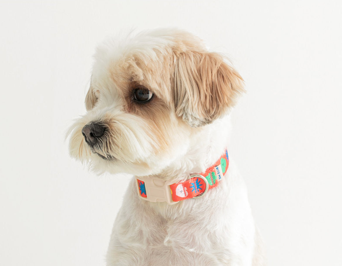 Red Sparkle Dog Collar