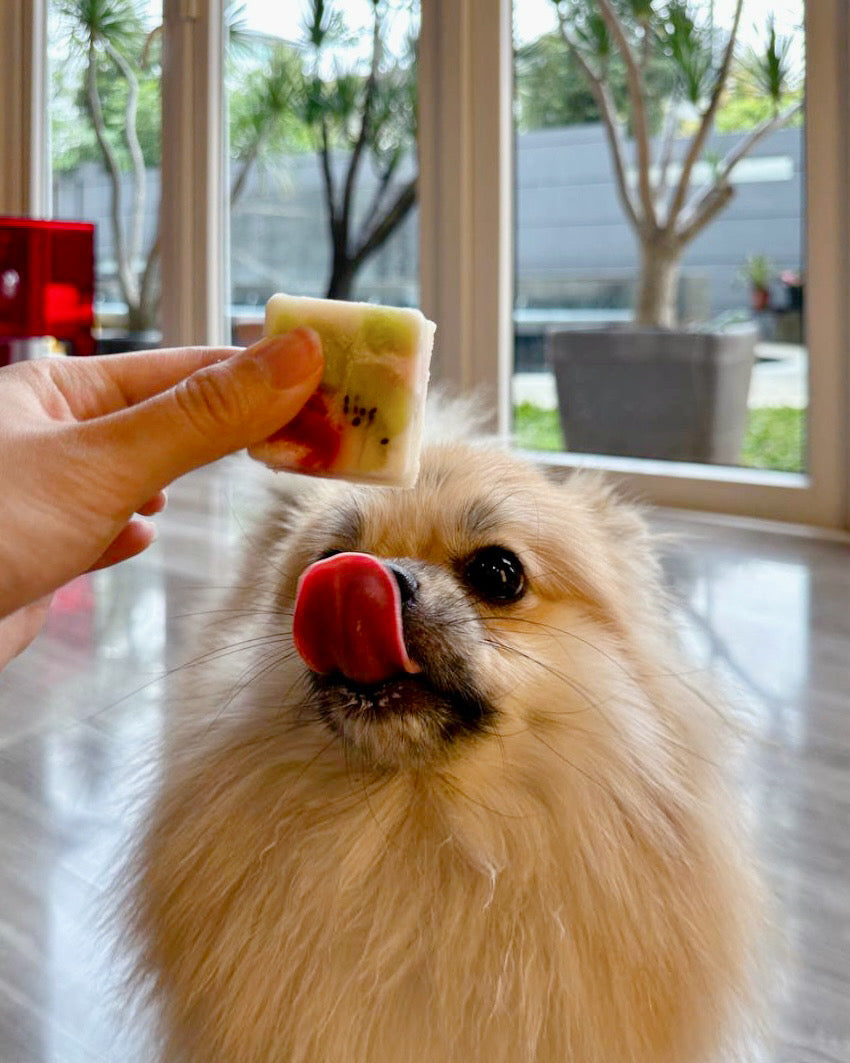 Christmas Yoghurt Bites