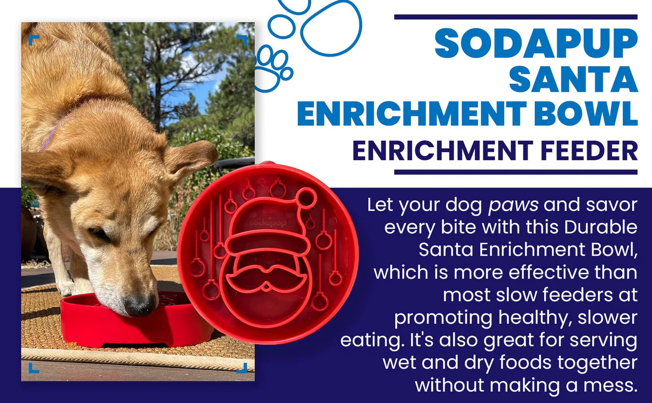 Santa Design Enrichment Slow Feeder Bowl