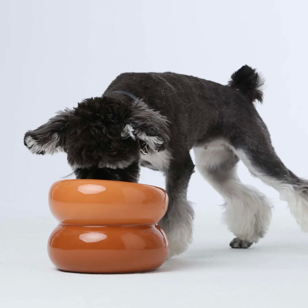 Soufflé Pet Bowl