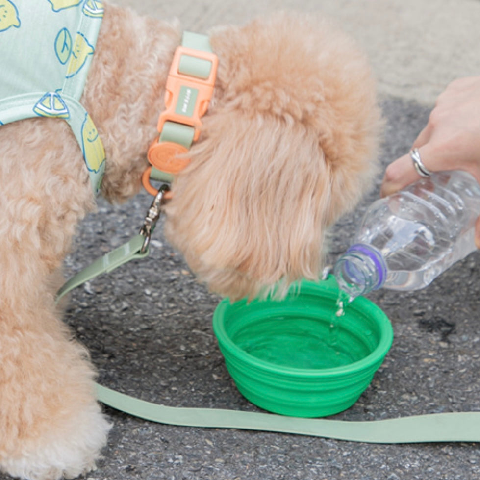Foldable Water Bowl (Vivid)