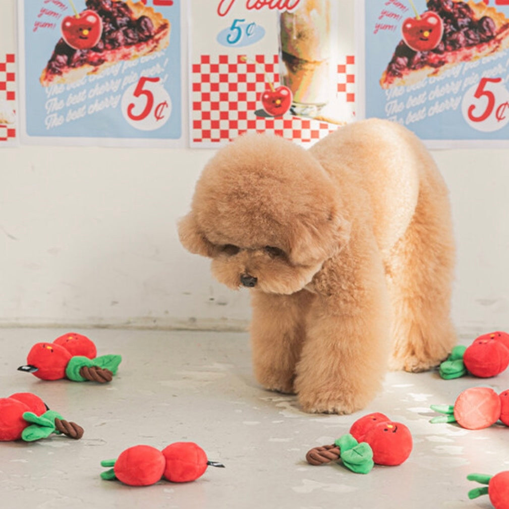 Cherry Tug Toy