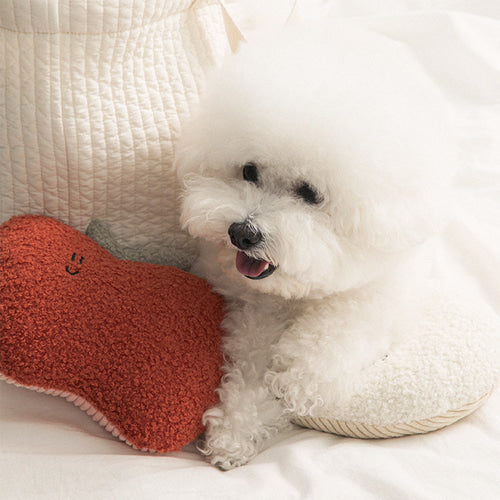 *NEW* BonBon Green My Home Buddy Cushion