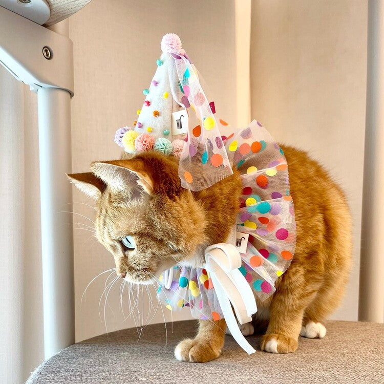 Party Hat
