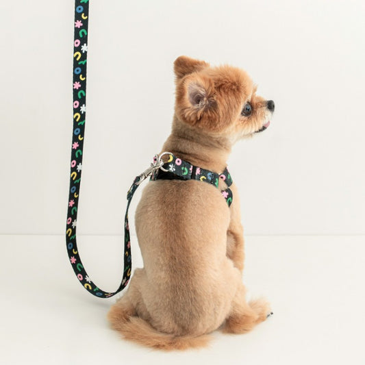 Black Popcorn Hands Free Leash