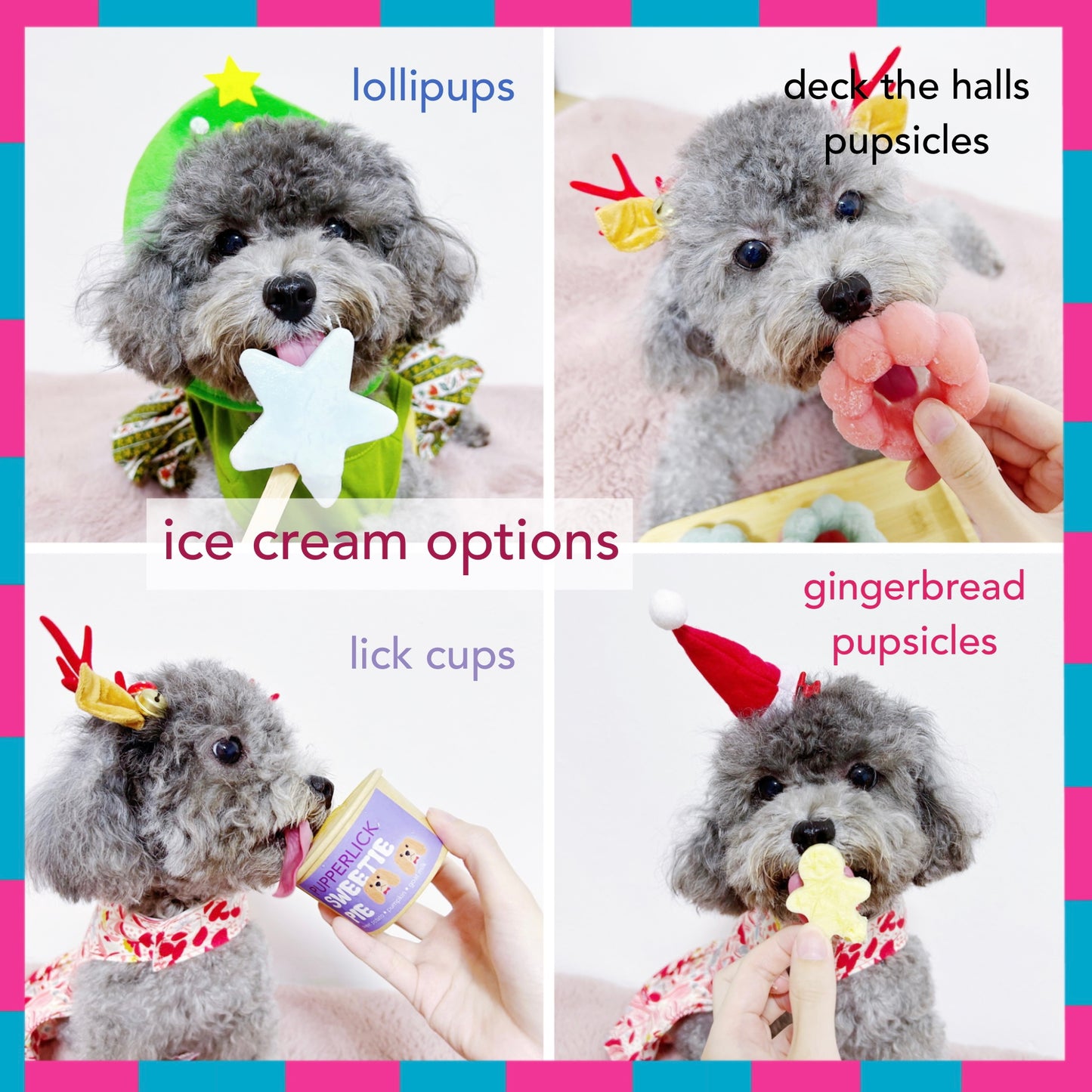 pupperFAM Bundle