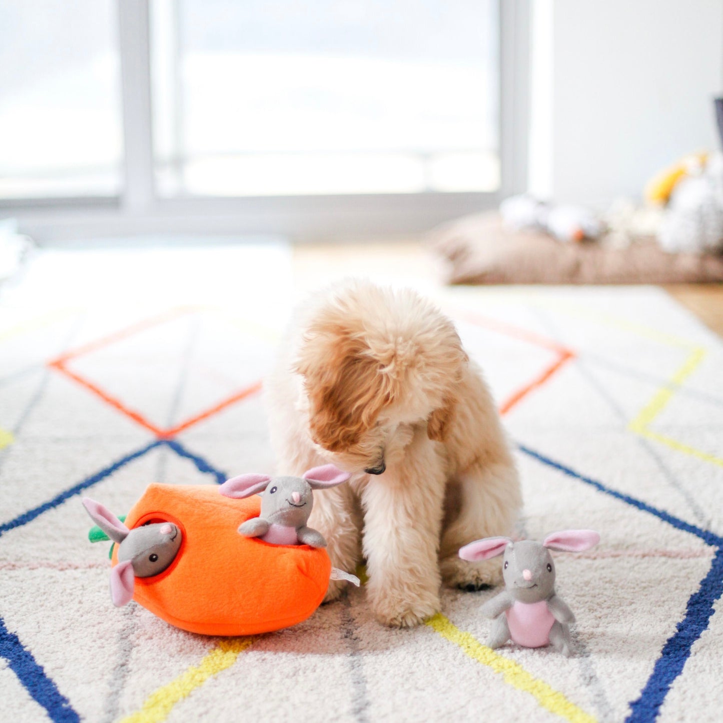 Bunny & Carrot Interactive Toy