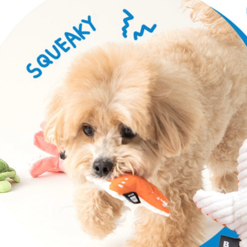 Starfish & Turtle Sea Friends Toy