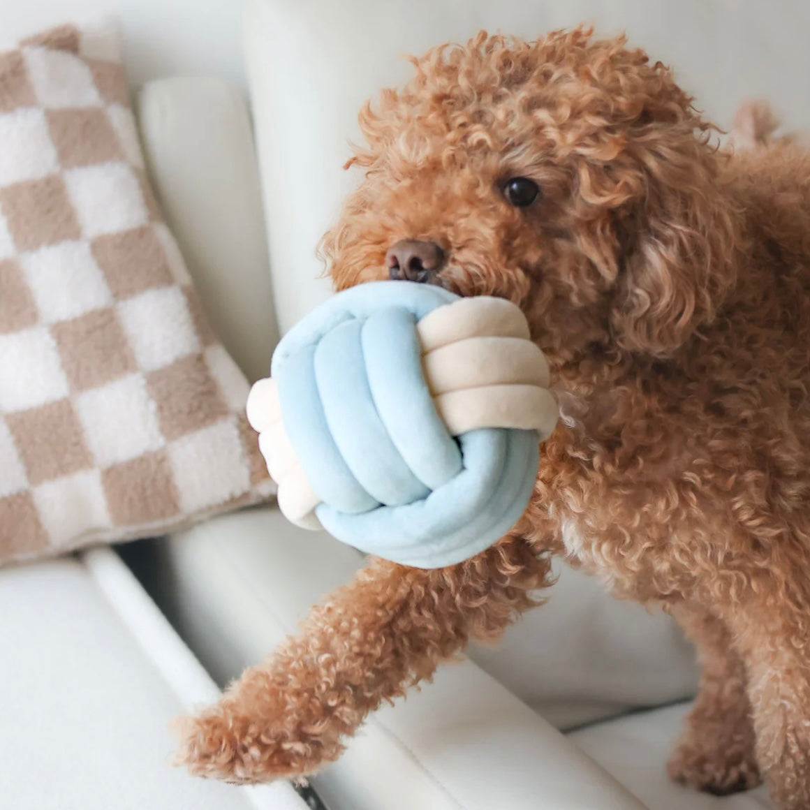Snuffle Knot Nosework Toy