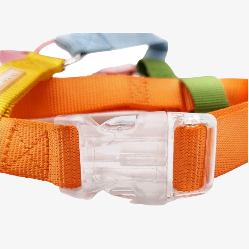 Bright As The Sun Harness