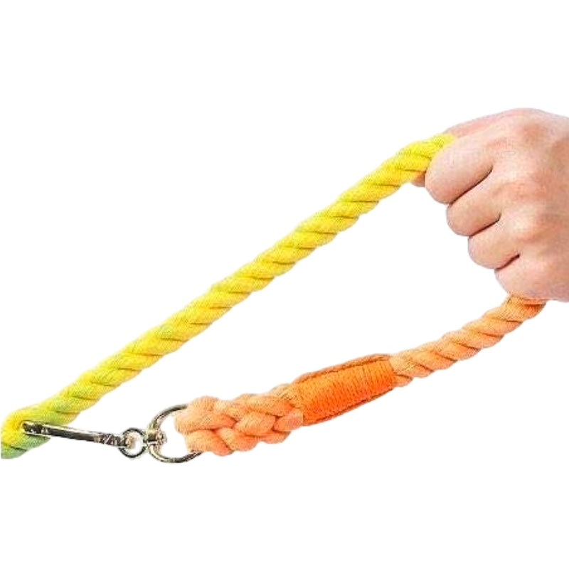 Bright As The Sun Leash